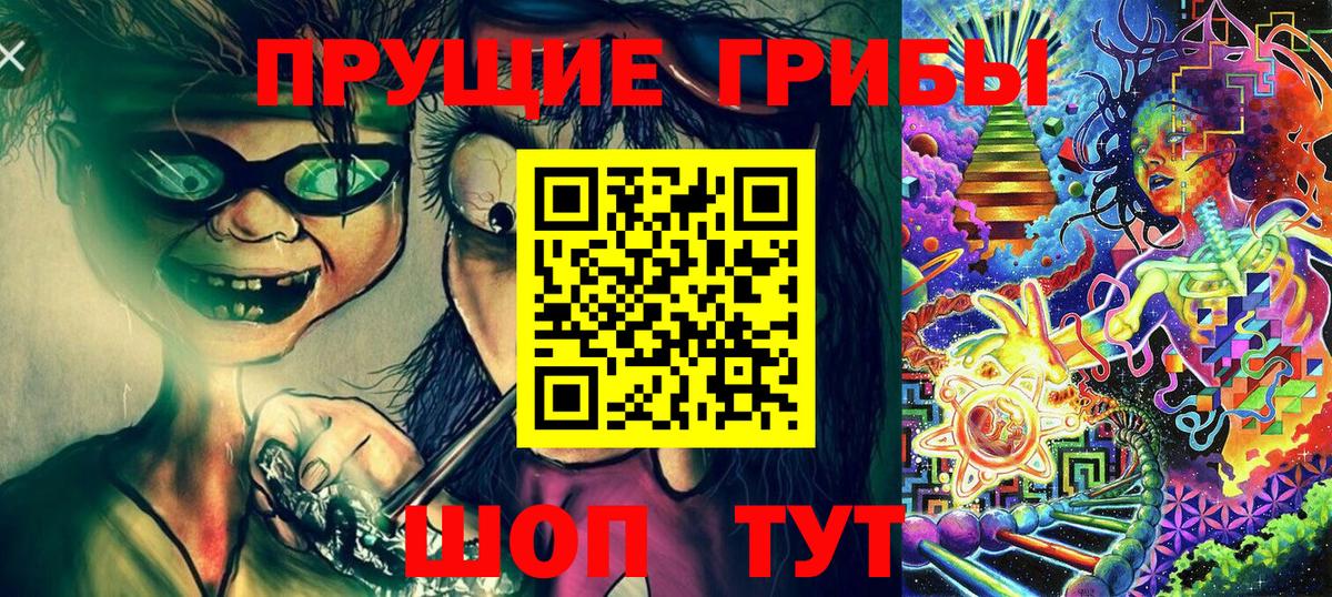 Кушва  Псилоцибиновые грибы GOLDEN TEACHER  Вход с VPN  Псилоцибиновые грибы GOLDEN TEACHER 